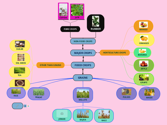FOOD CROPS Mind Map food-crops-mind-map